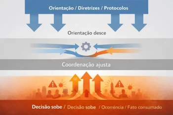 Decisão na segurança pública e a circulação real das decisões